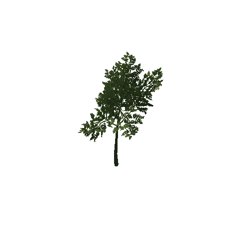 HVR Tree V01 T02 C01